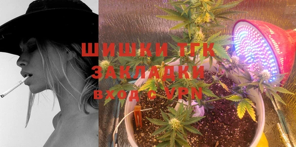 сатива Сосновый Бор