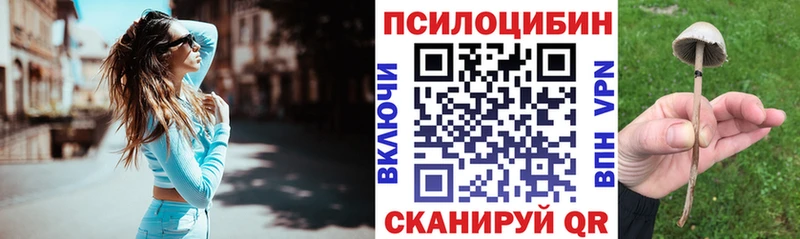 Галлюциногенные грибы Psilocybe  купить наркотики сайты  Томари 