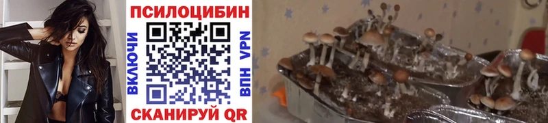 Псилоцибиновые грибы ЛСД Томари